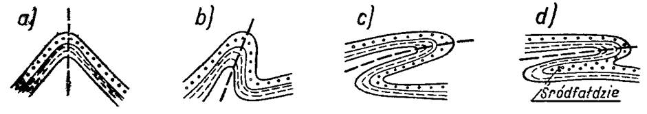 Typy fałdów normalnych a- stojący  b- pochylony   c- obalony      d- leżący
